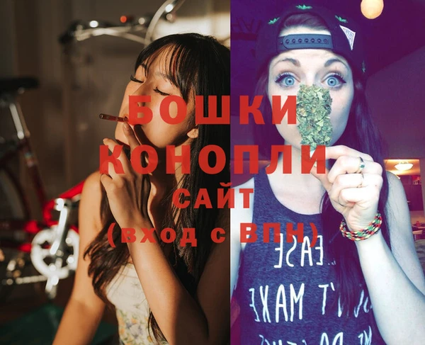 PSILOCYBIN Бородино