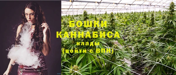PSILOCYBIN Бородино