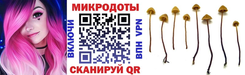 Галлюциногенные грибы Psilocybine cubensis  Гулькевичи 
